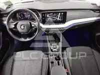 2023 Skoda Octavia