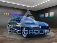 2023 Skoda Octavia