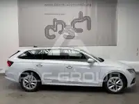 2023 Skoda Octavia