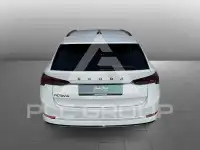2023 Skoda Octavia
