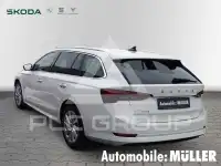 2023 Skoda Octavia