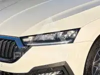 2023 Skoda Octavia