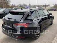 2023 Skoda Octavia