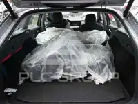 2023 Skoda Octavia
