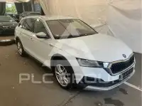 2023 Skoda Octavia