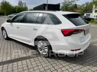 2023 Skoda Octavia