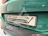 2023 BMW X6