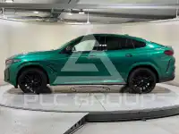 2023 BMW X6