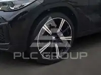 2023 BMW X6