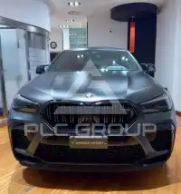 2023 BMW X6