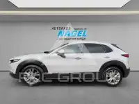 2023 Mazda 2 (Demio)