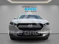 2023 Mazda 2 (Demio)