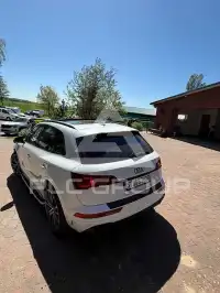 2023 Audi SQ5