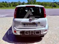 2023 Fiat Panda
