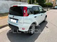 2023 Fiat Panda