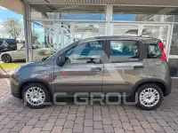 2023 Fiat Panda