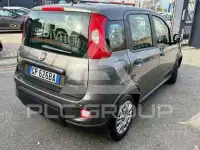 2023 Fiat Panda