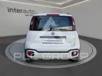 2023 Fiat Panda