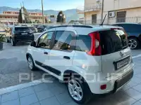 2023 Fiat Panda