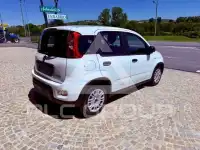 2023 Fiat Panda