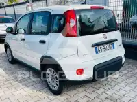 2023 Fiat Panda