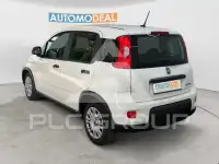 2023 Fiat Panda