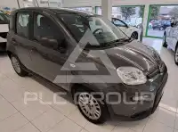 2023 Fiat Panda