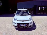 2023 Fiat Panda