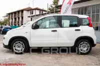 2023 Fiat Panda