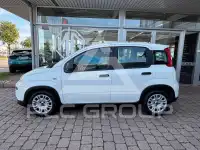 2023 Fiat Panda