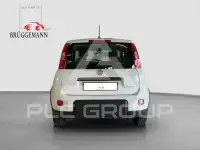 2023 Fiat Panda