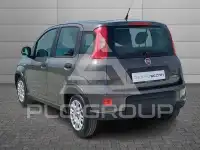 2023 Fiat Panda