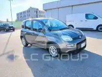 2023 Fiat Panda