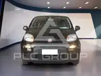 2023 Fiat Panda
