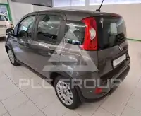2023 Fiat Panda