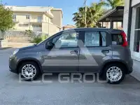 2023 Fiat Panda