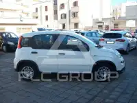2023 Fiat Panda