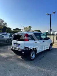2023 Fiat Panda