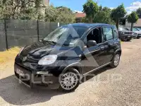 2023 Fiat Panda