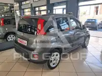 2023 Fiat Panda