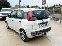2023 Fiat Panda