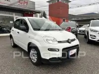 2023 Fiat Panda