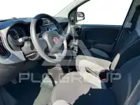 2023 Fiat Panda