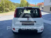 2023 Fiat Panda