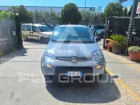 2023 Fiat Panda