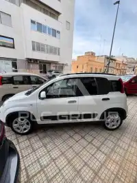 2023 Fiat Panda