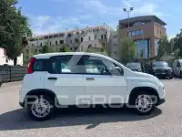 2023 Fiat Panda