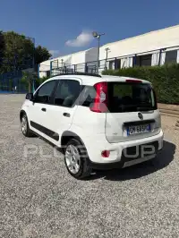 2023 Fiat Panda
