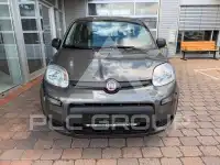 2023 Fiat Panda