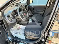 2023 Fiat Panda